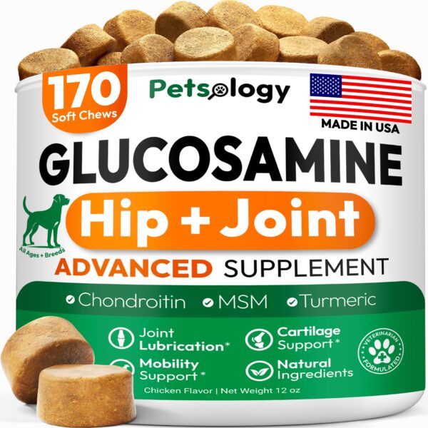 Glucosamine for Dogs   Hip and Joint Supplement for Dogs   170 Mobility Chews   Glucosamine Chondroitin   MSM   Turmeric   Joint Pain Relief   Advanced Support for Dog Health   Made in USA